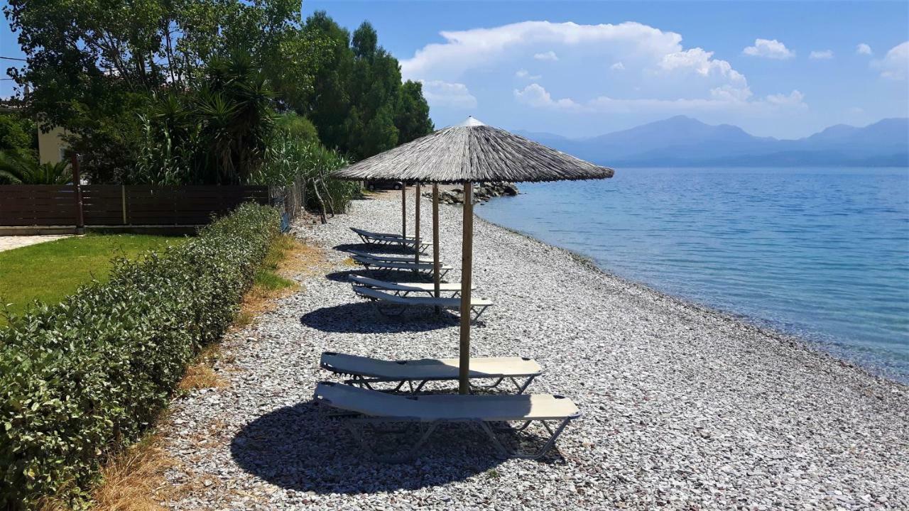 Villa Thalassa Paralia Sergoulas エクステリア 写真